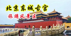 大鸡巴插逼捅捅捅视频中国北京-东城古宫旅游风景区